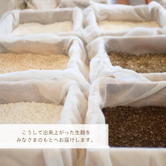 【希少黒麹】国産麦仕込み 手づくり生麹（100g）