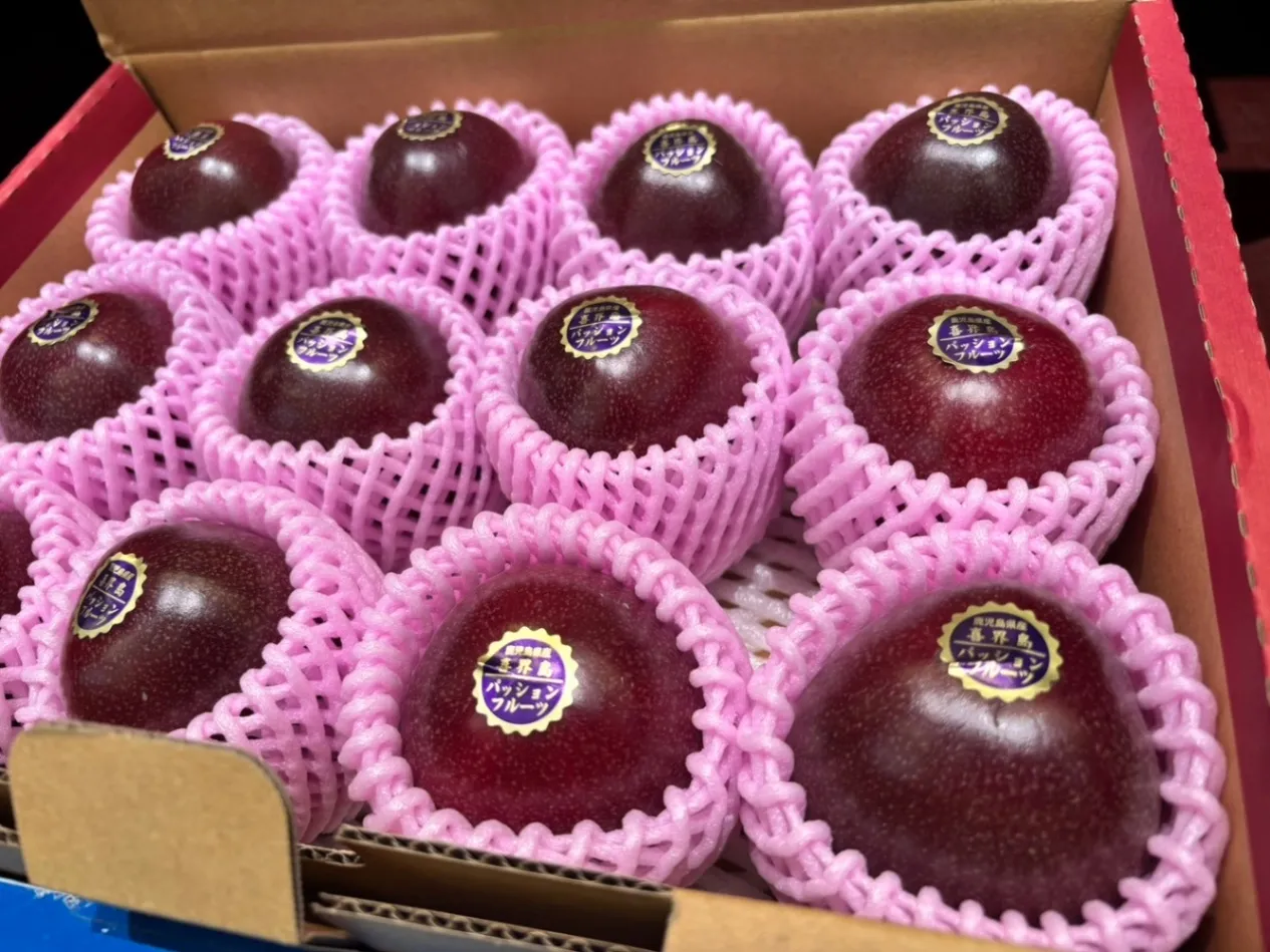 【予約受付開始】故郷・喜界島産パッションフルーツ1kg（化粧箱入り） 10〜12個）