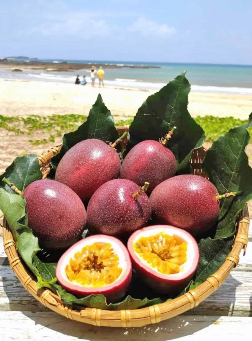【予約受付開始】故郷・喜界島産パッションフルーツ1kg（化粧箱入り） 10〜12個）