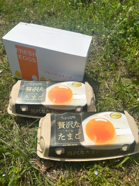 【こだわりの健康たまご】
化粧箱20個入り