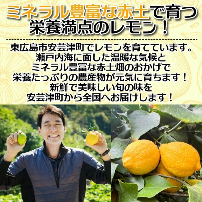 甲斐農園 国産レモン 1kg 広島県安芸津町産 防腐剤不使用 ワックス不使瀬戸内産レモン 産地直送