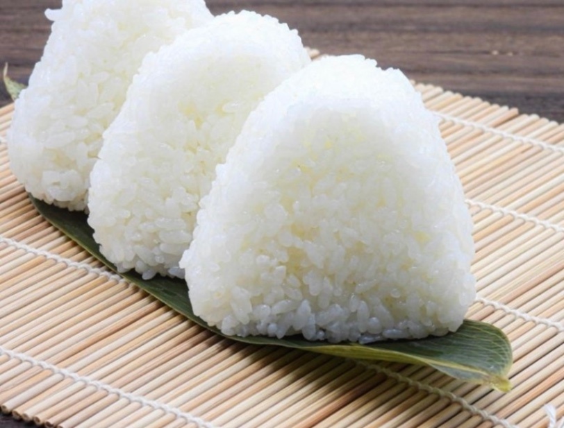 【令和7年産】兵庫県産　白米10kg ツヤの「きぬむすめ」