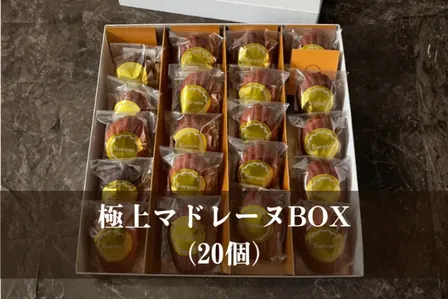 極上マドレーヌBOX（20個）