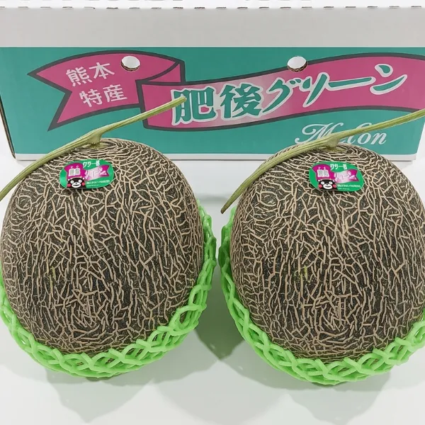 【タイムセール】熊本県産 肥後グリーンメロン 7Lサイズ 2玉入り