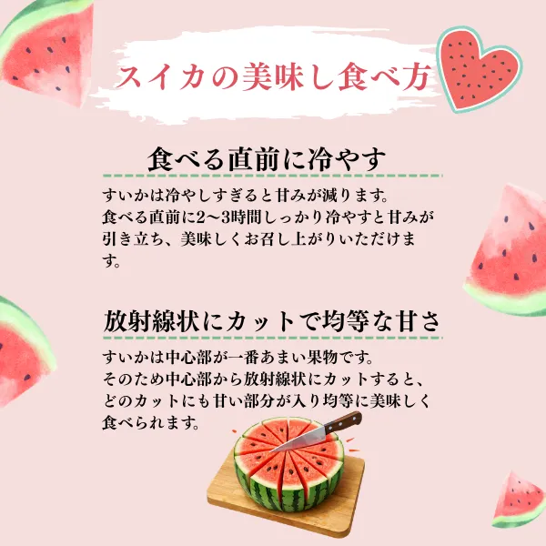 【タイムセール】熊本県植木町産 小玉スイカ 1玉　約3キロ