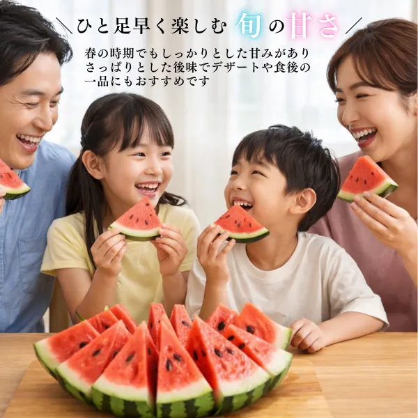 【タイムセール】熊本県植木町産 小玉スイカ 1玉　約3キロ