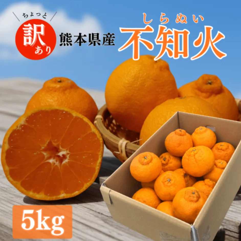 熊本県産 不知火 ５kg 【訳あり】