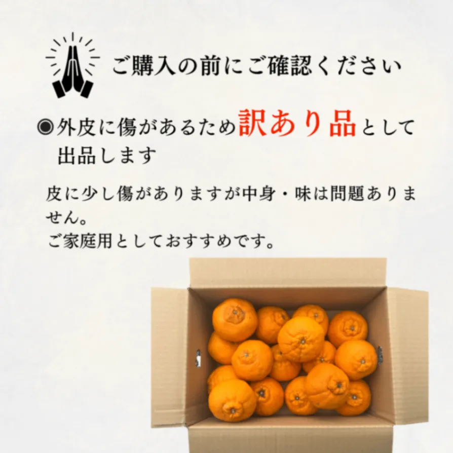 熊本県産 不知火 ５kg 【訳あり】