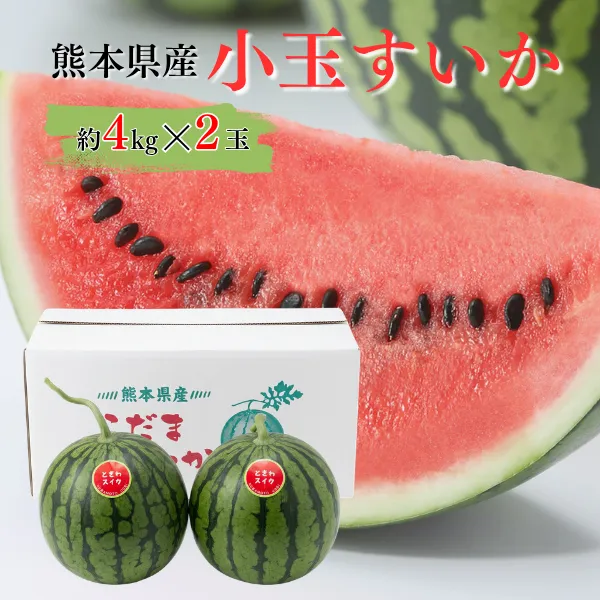 熊本県植木町産 小玉スイカ  2玉入り 約８キロ