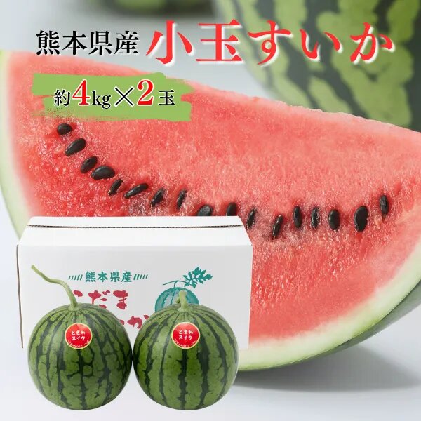 熊本県植木町産 小玉スイカ 2玉入り 約8キロ｜リベシティ市場