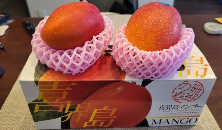 【予約受付開始】父の故郷・喜界島産マンゴー1kg（化粧箱2〜3玉入り）