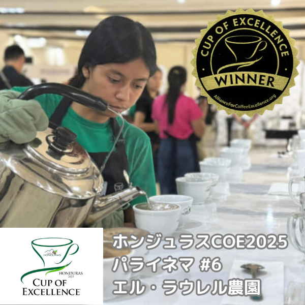 【COE2025受賞】ホンジュラス エル・ラウレル農園 パライネマ200gカップオブエクセレンス

