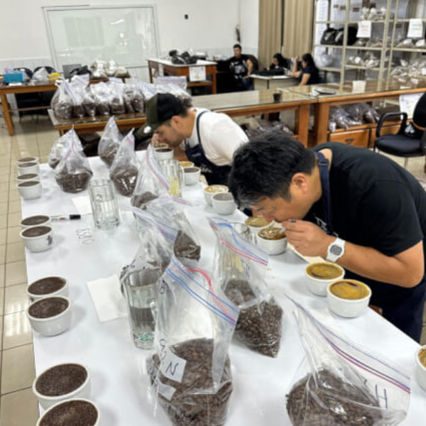 【COE2025受賞】ホンジュラス エル・ラウレル農園 パライネマ200gカップオブエクセレンス

