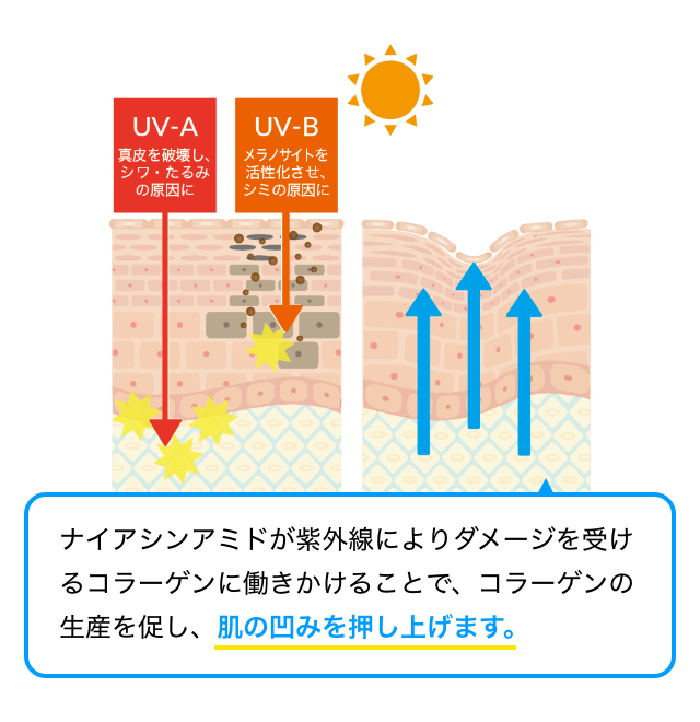 お肌が弱い方にも安心【薬用UV】肌ケアしながら紫外線ブロック◆ノンケミカル処方 ◆安心の日本製 