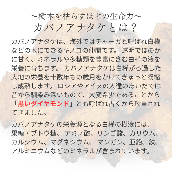 【くすみぶっ飛び！】天恵クオリティソープ（天恵石鹸）
