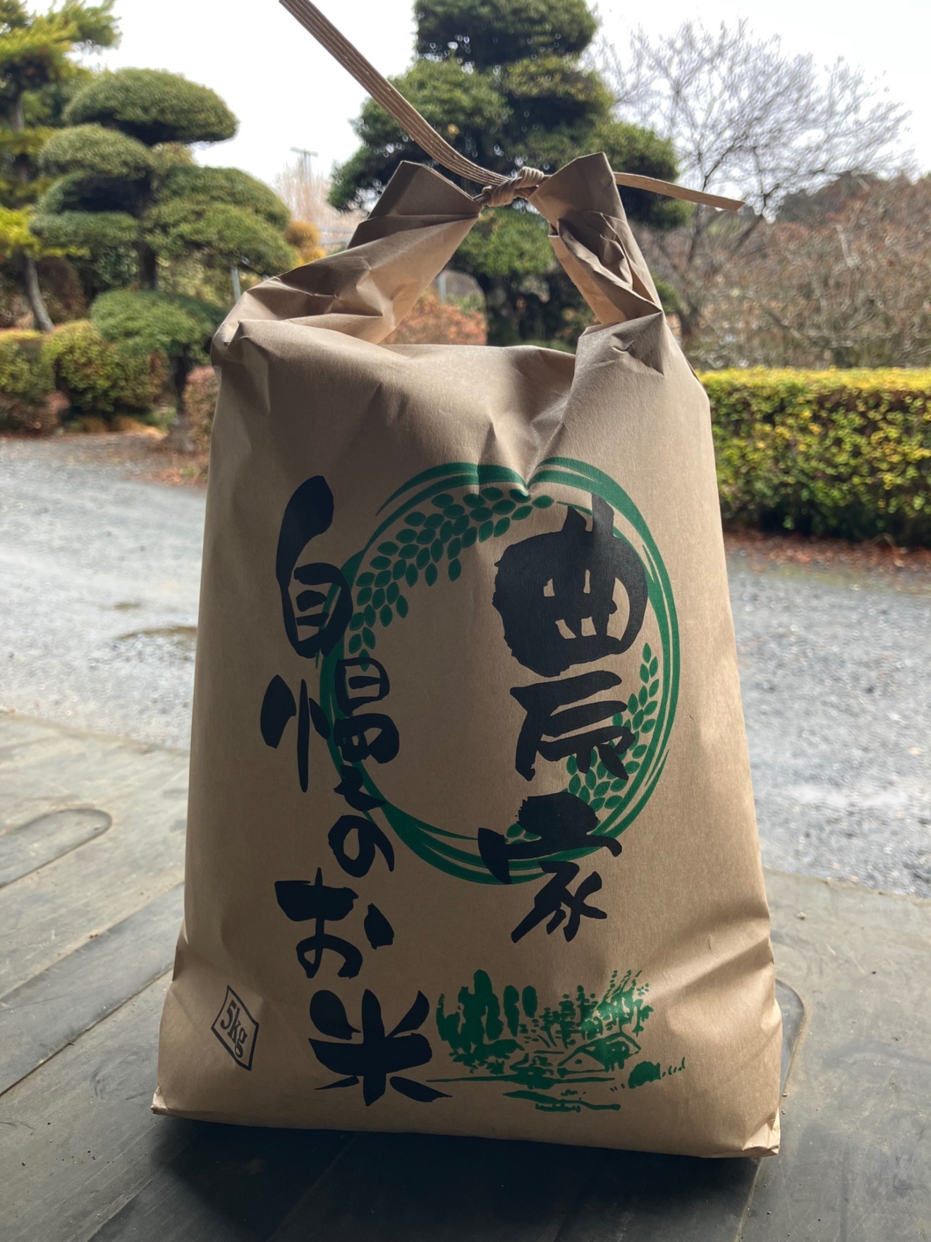 【2025年産】栃木県産 とちぎの星 5kg 白米 産地直送