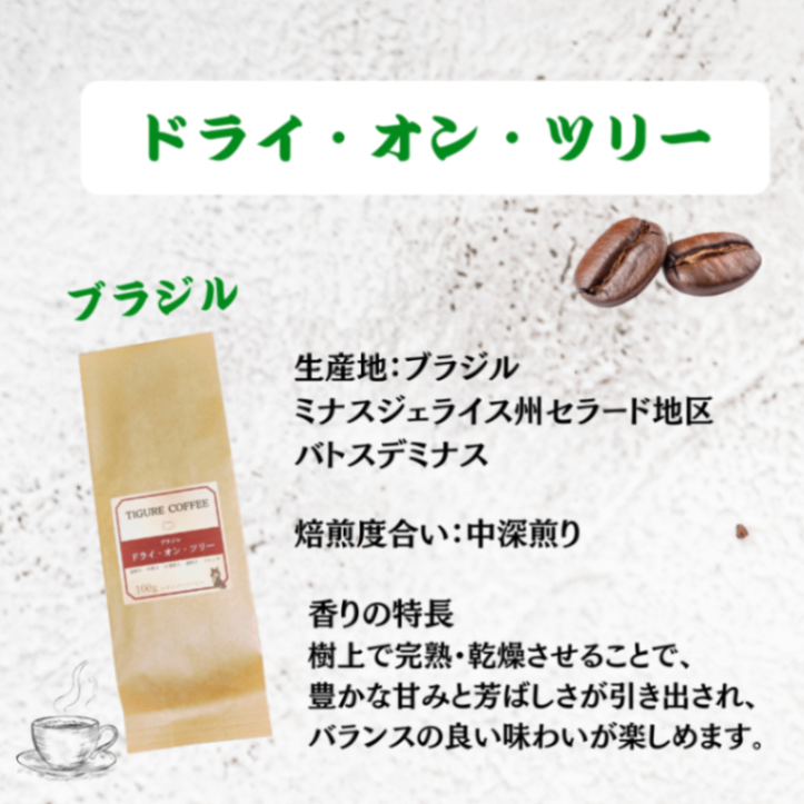 ４種 飲み比べセット