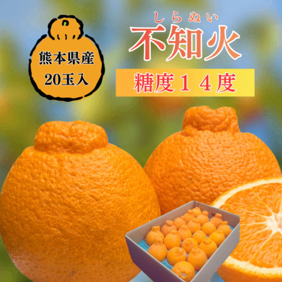 熊本県産 不知火 20玉入り｜リベシティ市場