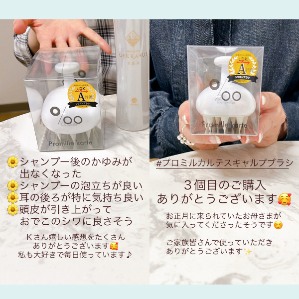 プロミルカルテ スキャルプブラシ