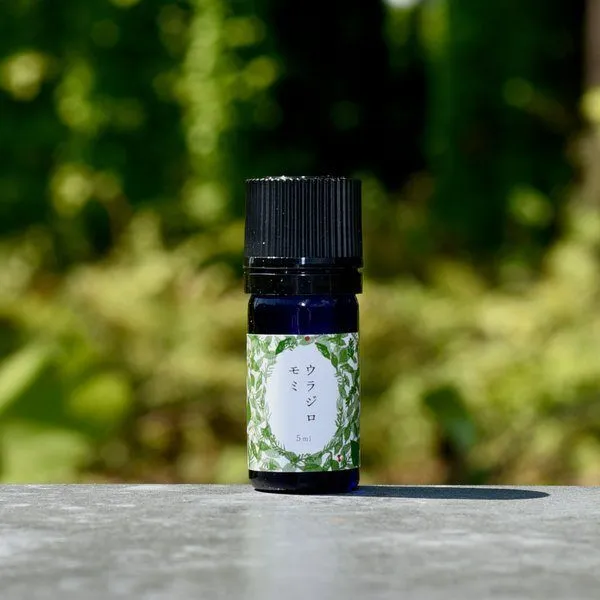 【北欧の冬を守る神聖な木】ウラジロモミ精油 5ml｜北東北産天然木100%・無添加・国産アロマ
