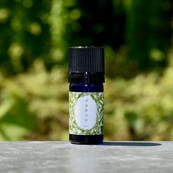 【アロマの主役・甘くスッキリ】ゴヨウマツ精油 5ml｜北東北産天然木100%・無添加・国産アロマ