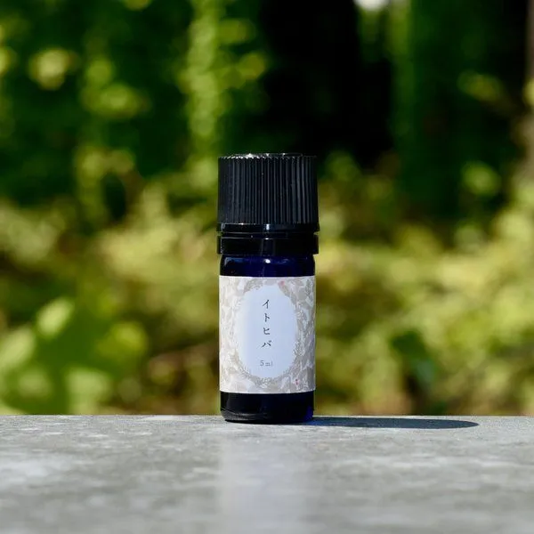 【糸の葉・柑橘系の清涼】イトヒバ精油 5ml｜北東北産天然木100%・無添加・国産アロマ