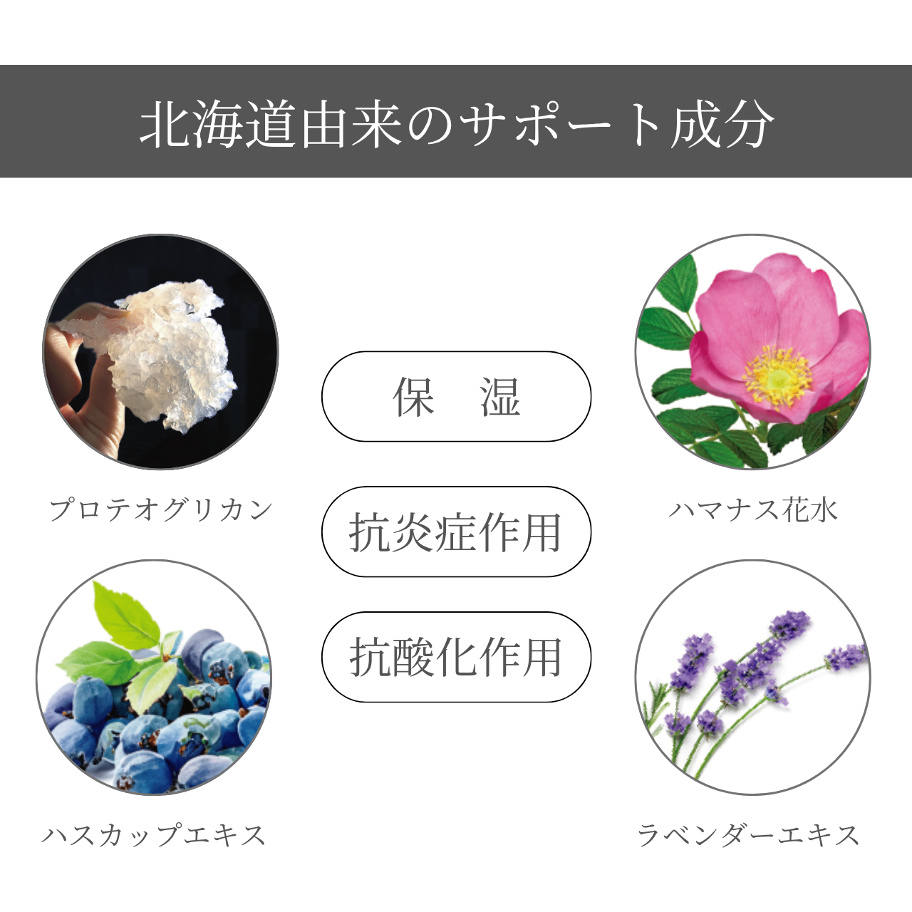 プロテオグリカン配合エンリッチジェルクリーム/しっとりうるおい肌を整える