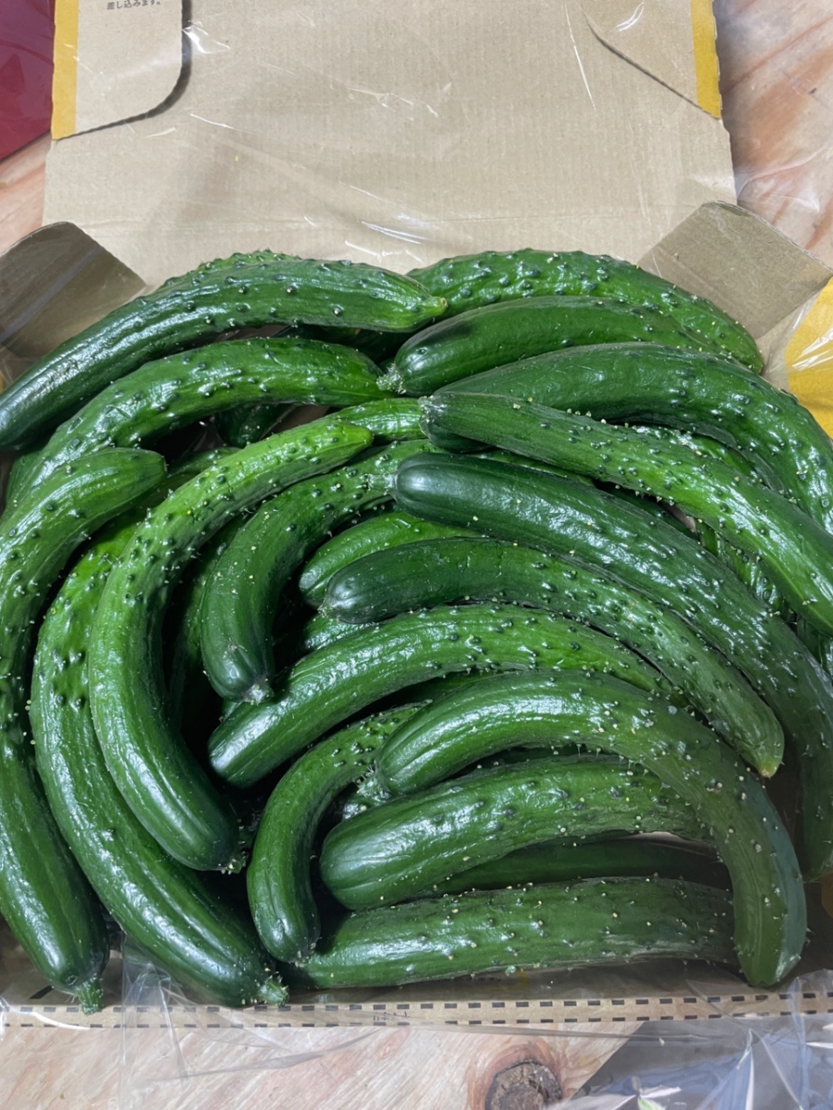 【お試しサイズ】まっすぐとミニきゅうり ミックスになります🥒