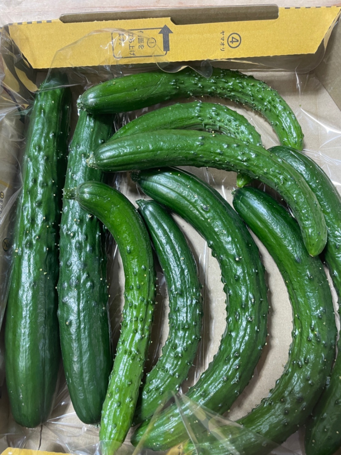 【お試しサイズ】まっすぐとミニきゅうり ミックスになります🥒