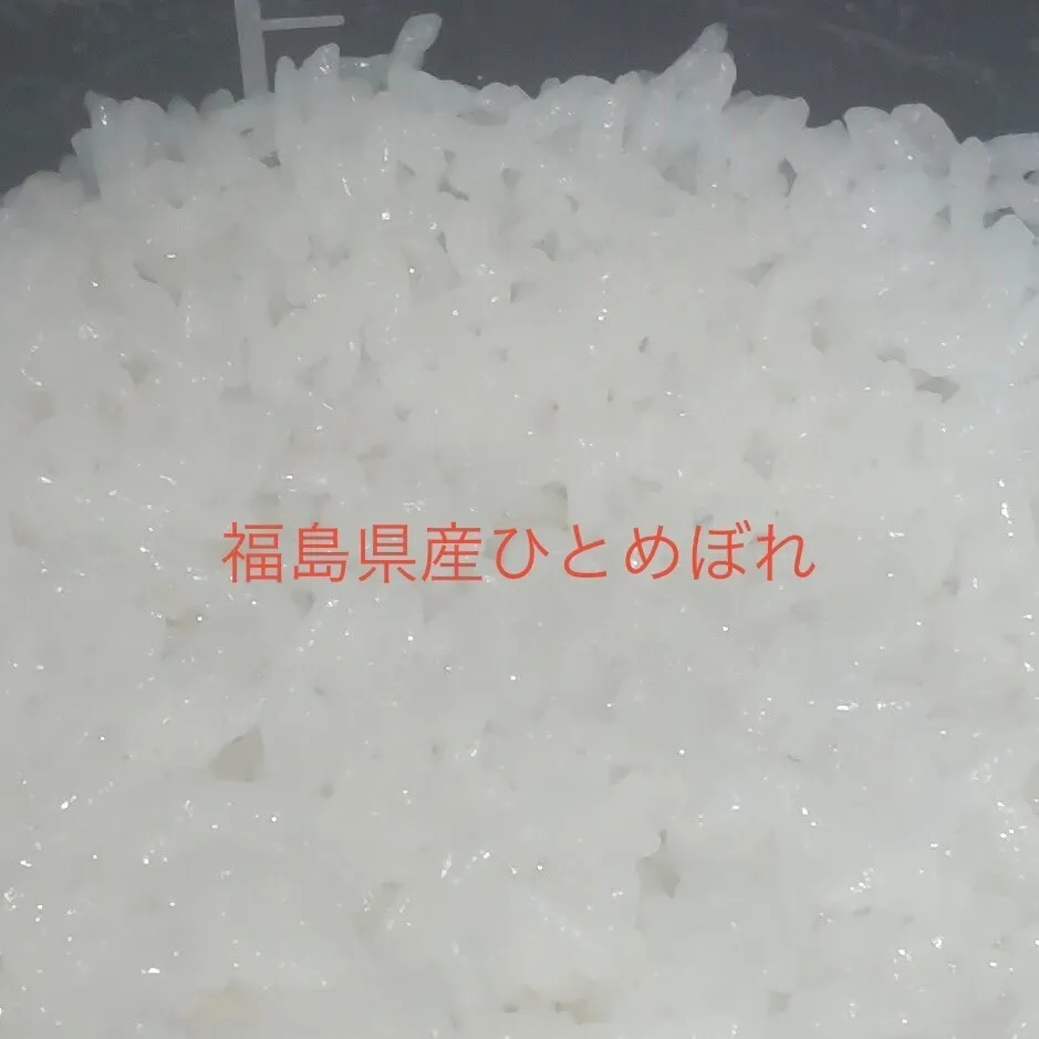【東京方面まで送料無料になります】【産地直送】令和7年産福島県産ひとめぼれ白米５ｋｇ