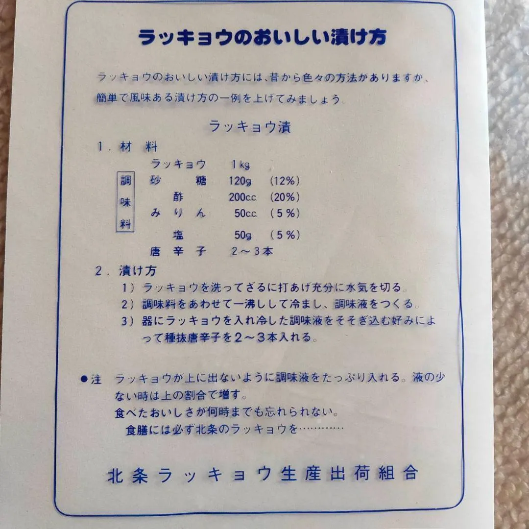 農薬不使用(栽培期間中) 洗いらっきょう 5kg 鳥取 らっきょう らっきょ 5/26以降順次発送