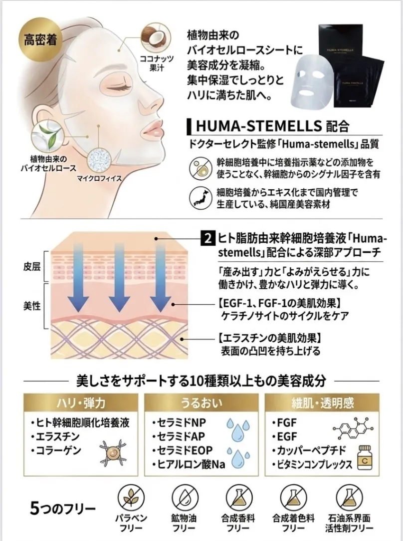 【サロン専売・正規品】ヒト幹細胞フェイスマスク4枚入｜高密着バイオセルロース｜集中保湿・ハリ・ツヤ
