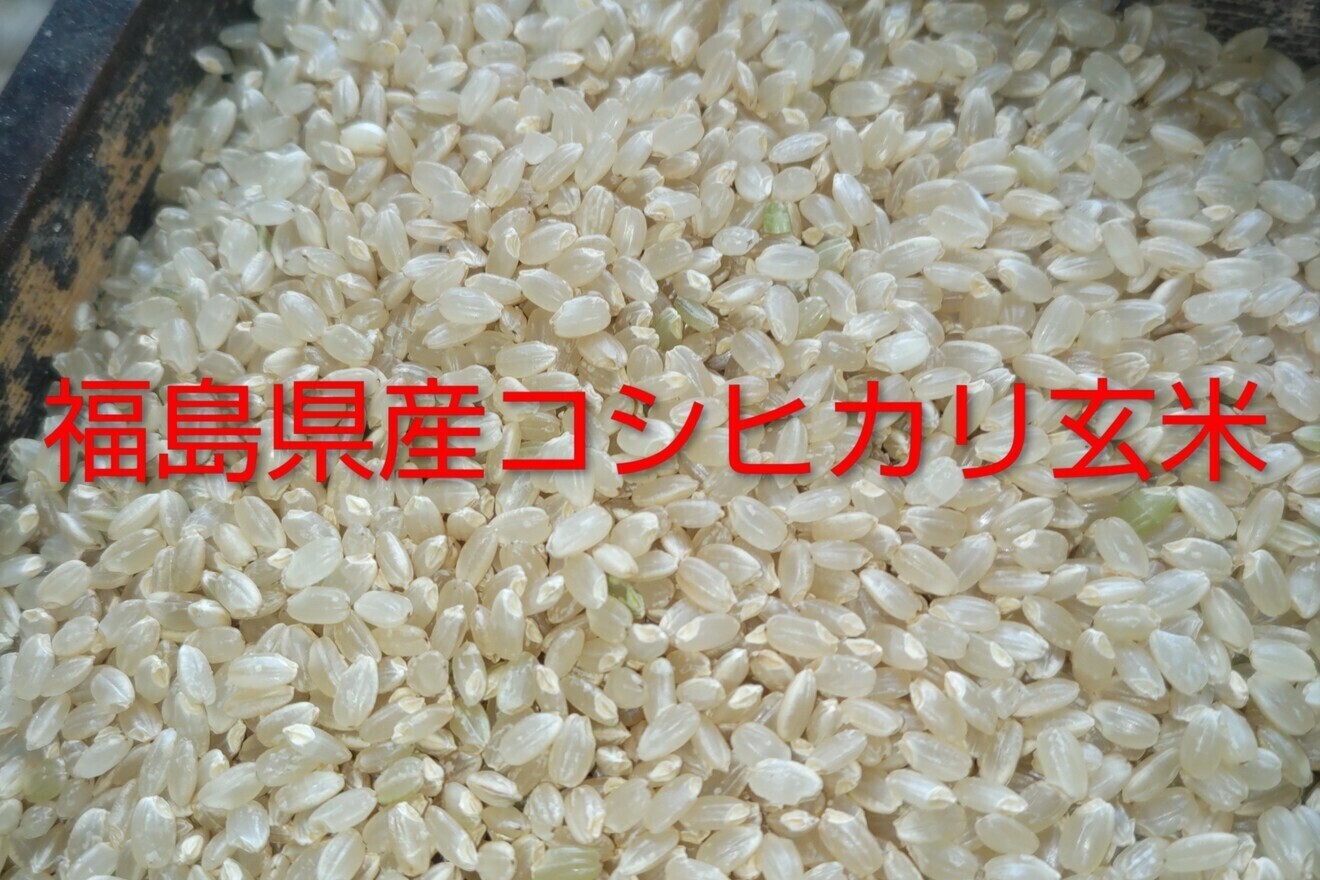 【東京方面まで送料無料になります】【産地直送】令和七年産新米福島県産コシヒカリ玄米4kg