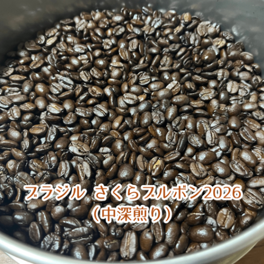 【コーヒー豆】ブラジル さくらブルボン2026（中深煎り）100g（10杯分）