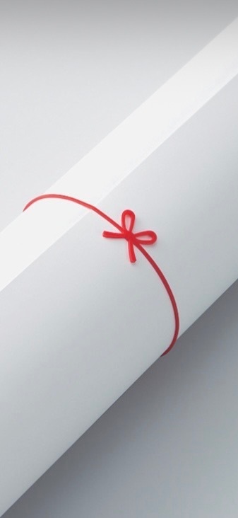 和ゴム　4色セット