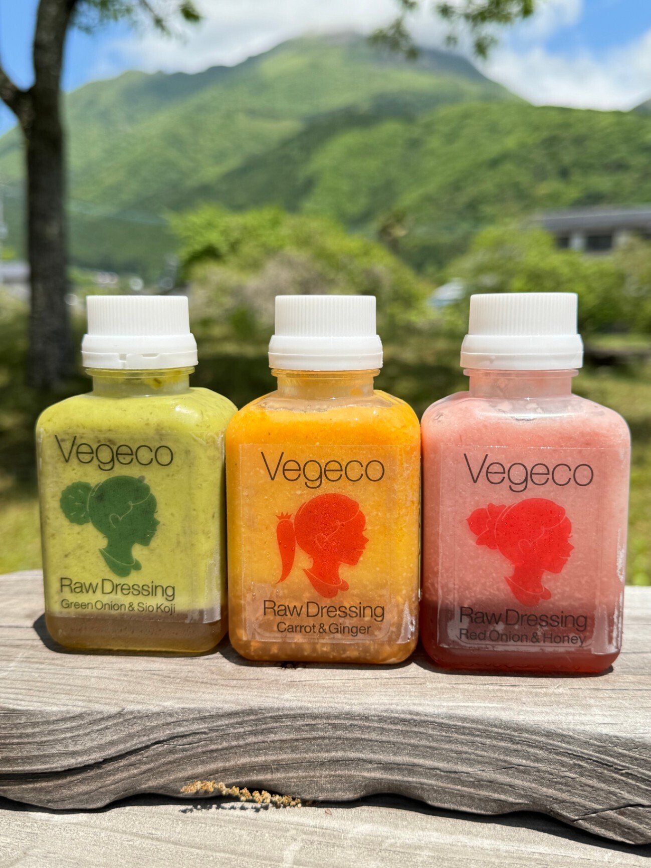 【リニューアル！】飲みたくなる生ドレッシング3種セット【父の日ギフト】