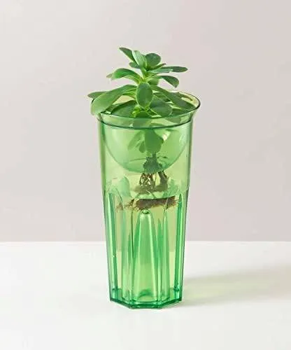 新輝合成 トンボ 水栽培容器 グロウベース グリーン 9×17cm