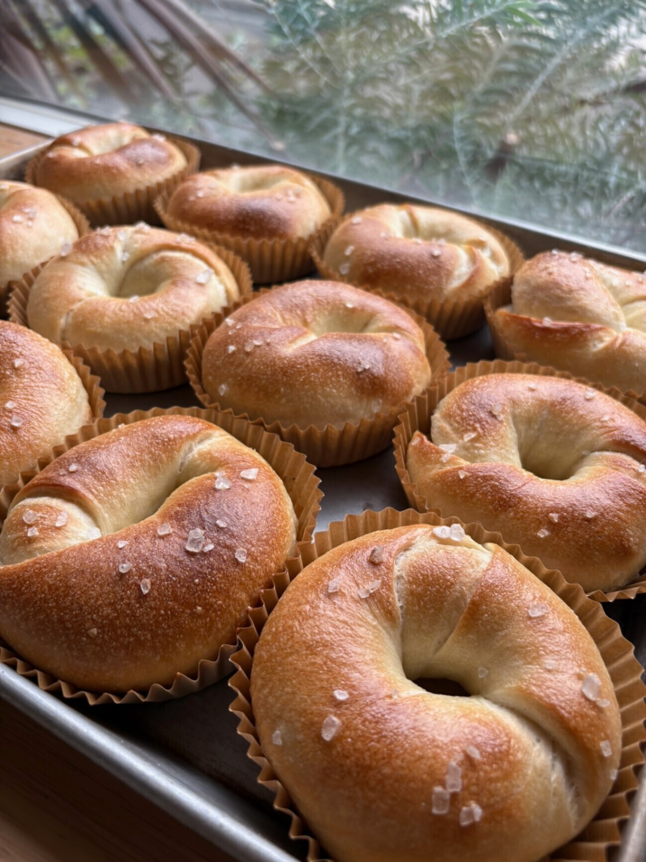 【5/12発送】NANAPANの10種ベーグルセット🥯