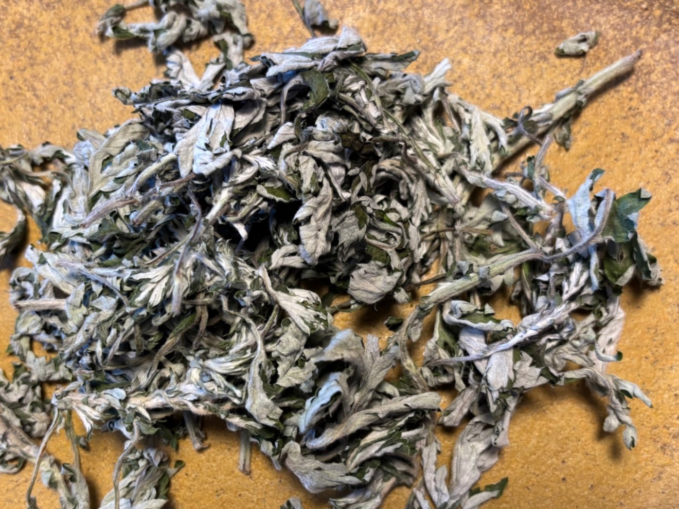 【自然そのまま　新芽🌱乾燥　よもぎ】お茶