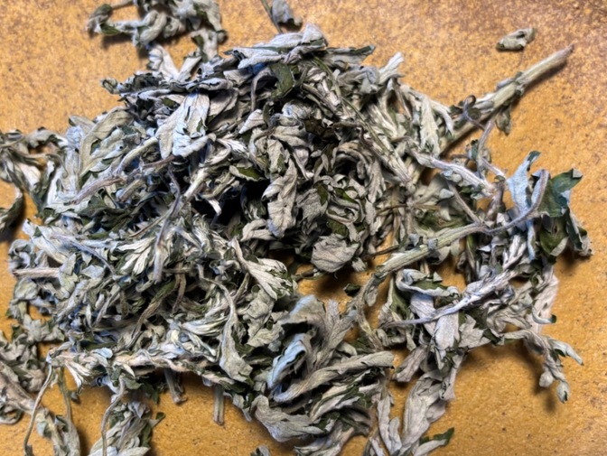 【自然そのまま　新芽🌱乾燥　よもぎ】お茶