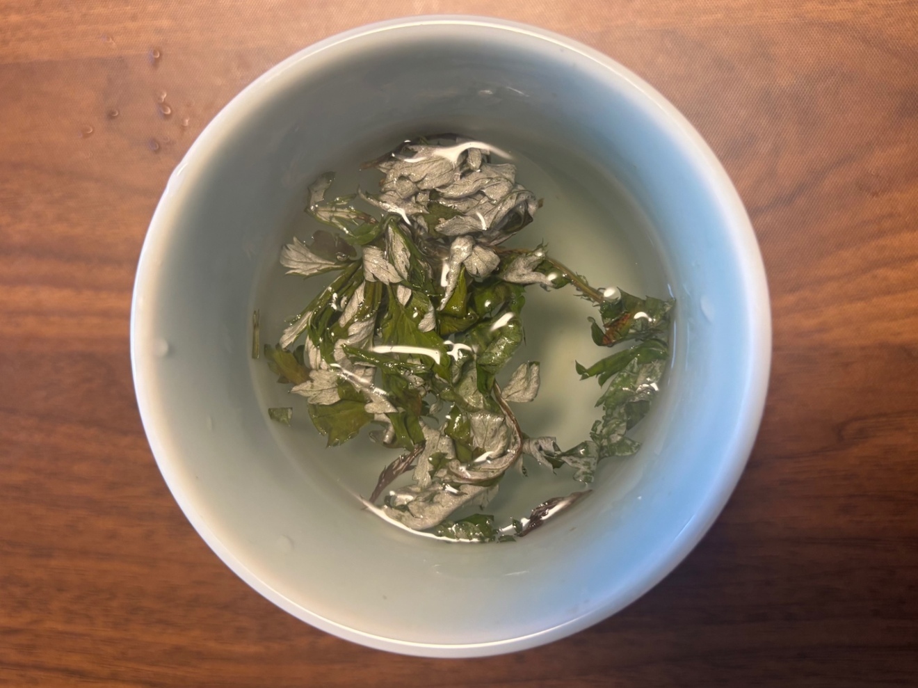 【自然そのまま　新芽🌱乾燥　よもぎ】お茶