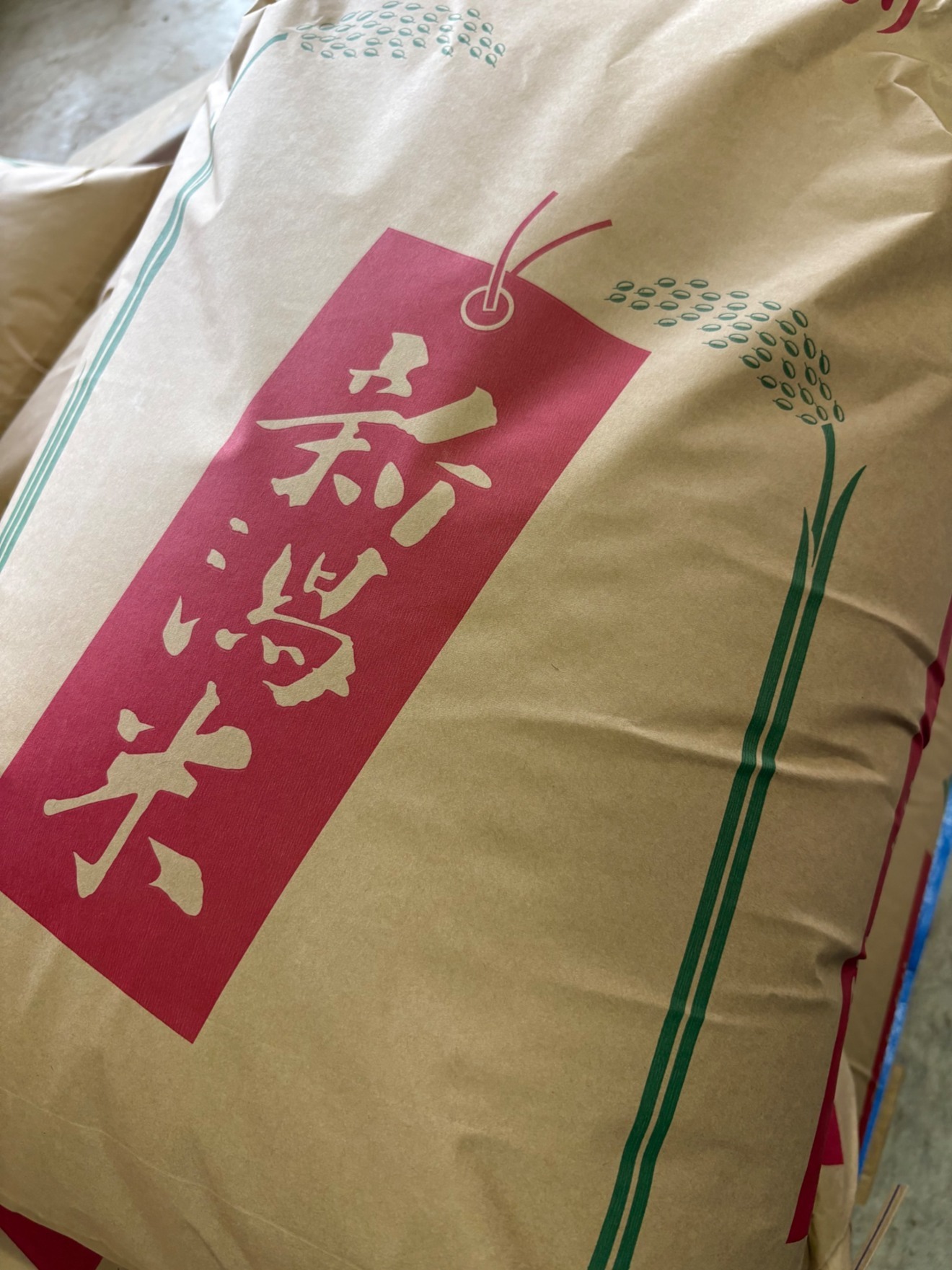 令和7年度　新之助　白米　５kg