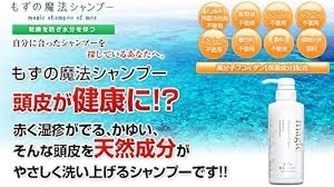 【昔アトピーだった社長が作った】超低刺激ノンシリコン｜高分子フコイダン5%配合｜もずの魔法シャンプー