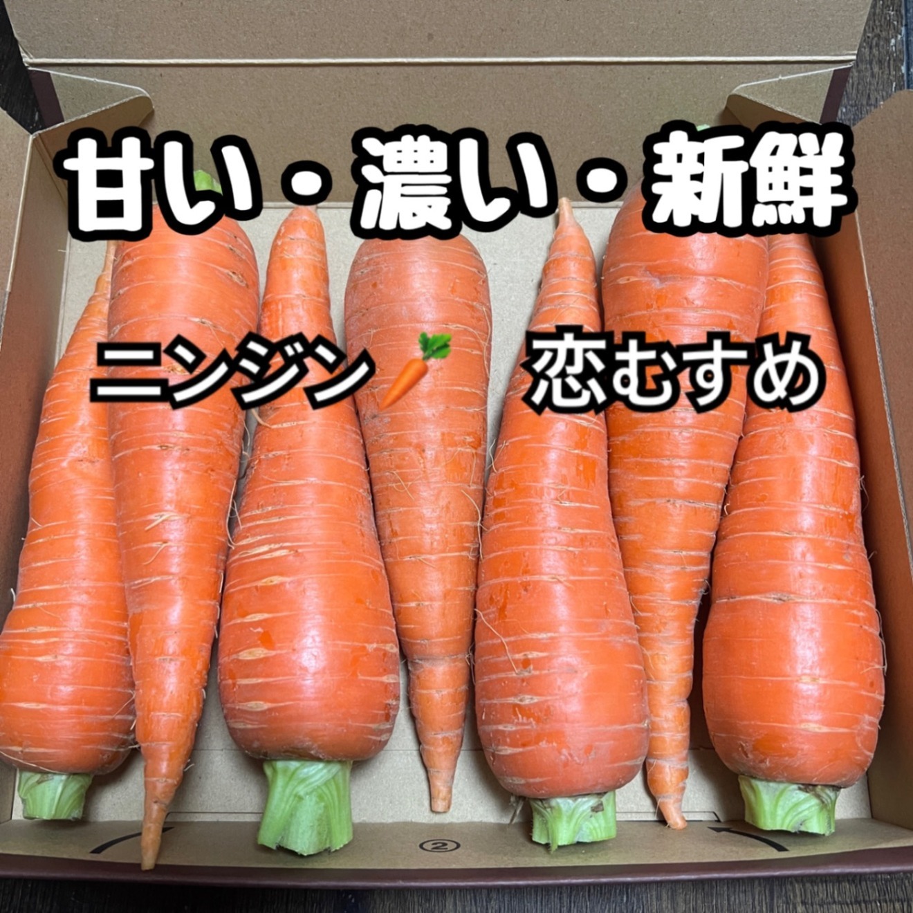 【甘い・濃い・新鮮】🥕人参「恋むすめ」 食べきり1kgセット　にんにくのおまけ付き🧄