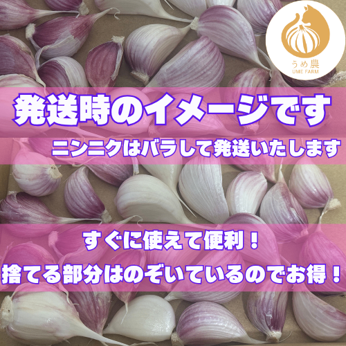 【旬の香り】──新鮮生にんにく　栽培時農薬不使用