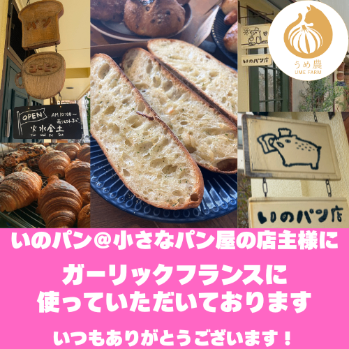 【旬の香り】──新鮮生にんにく　栽培時農薬不使用