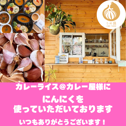 【旬の香り】──新鮮生にんにく　栽培時農薬不使用