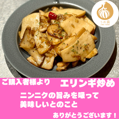 【旬の香り】──新鮮生にんにく　栽培時農薬不使用
