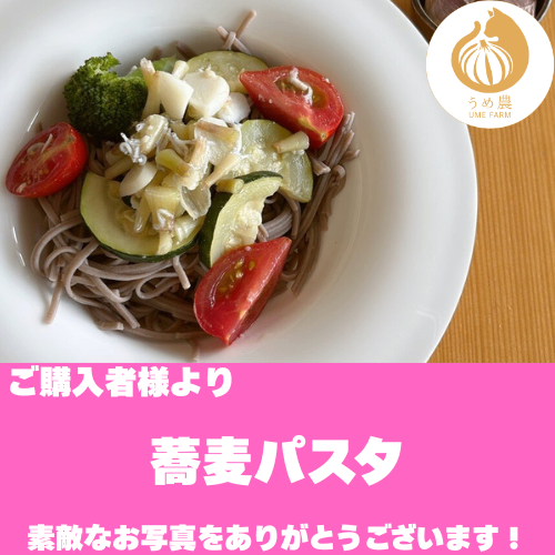 【旬の香り】──新鮮生にんにく　栽培時農薬不使用