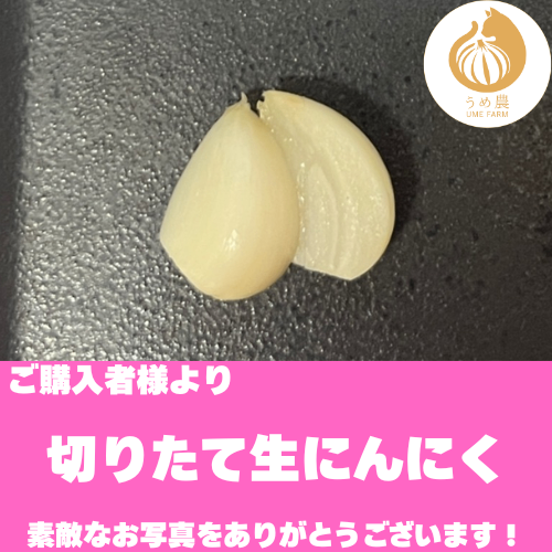 【旬の香り】──新鮮生にんにく　栽培時農薬不使用